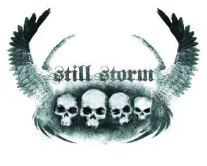 logo Still Storm